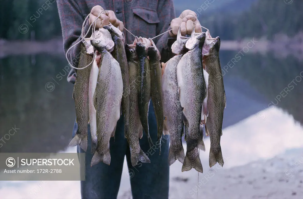 Person holding a string with Rainbow Trout