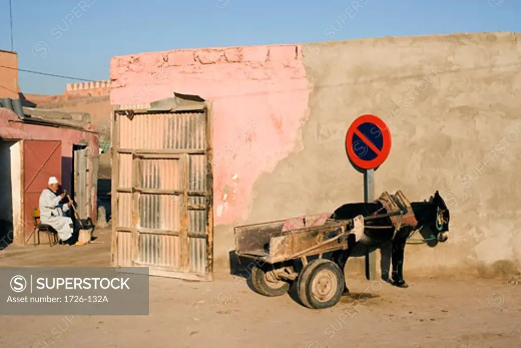 Donkey with a cart near a No Parking sign, Marrakesh, Morocco
