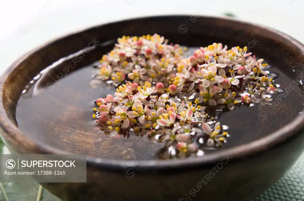 Flowers in small dish