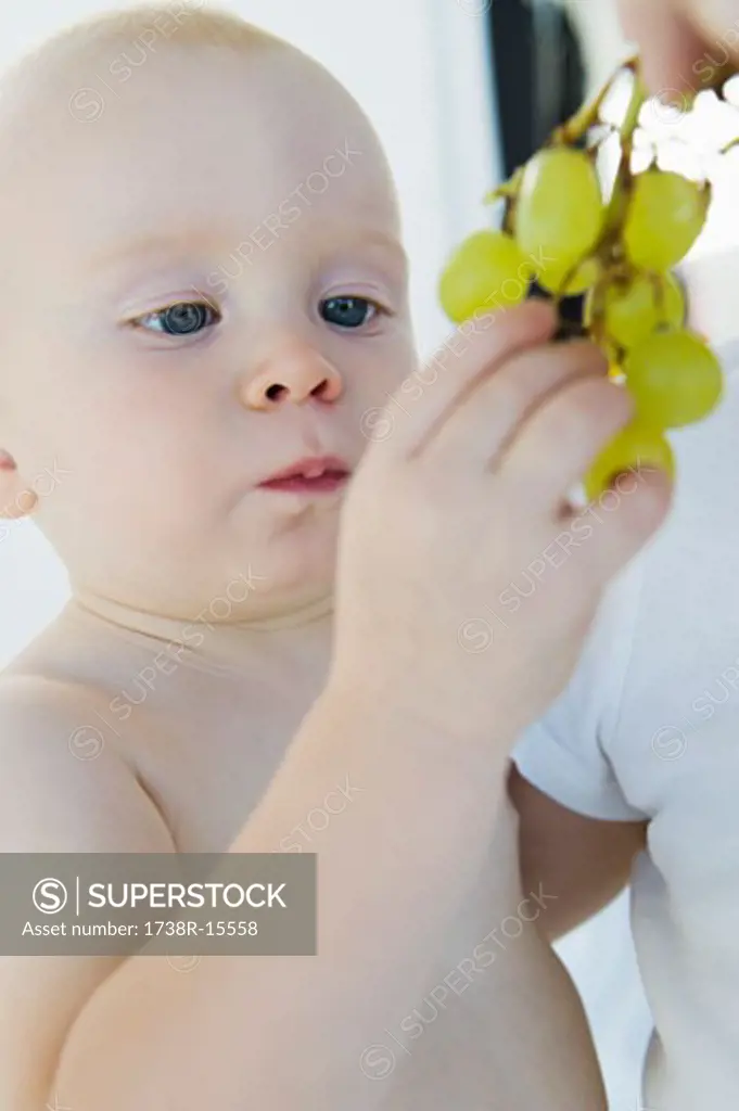 Baby boy holding a bunch of grapes