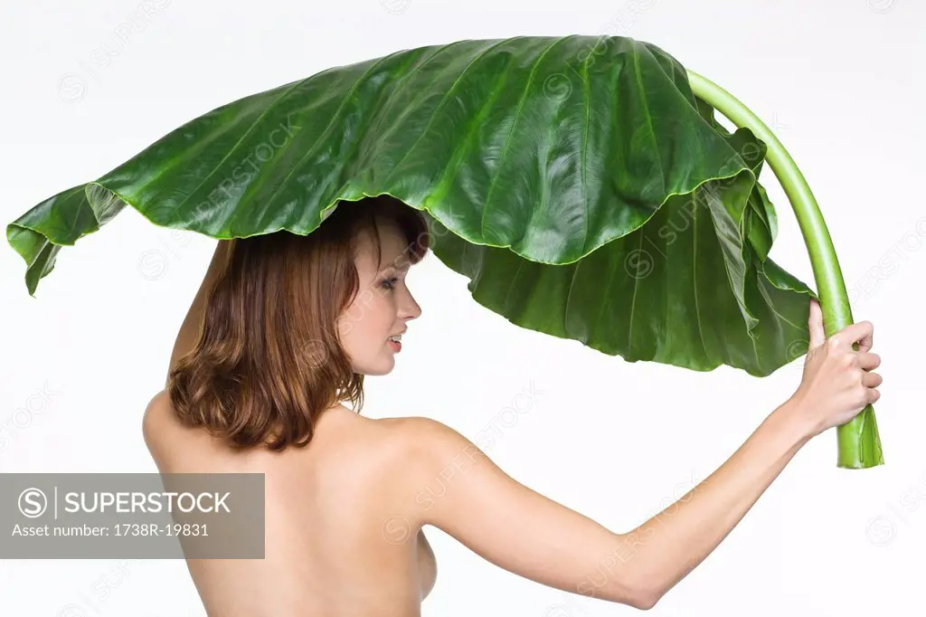 Rear view of topless woman holding large leaf
