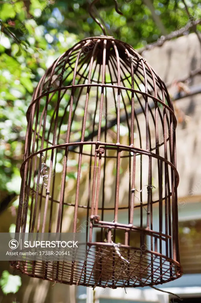 Close_up of a birdcage
