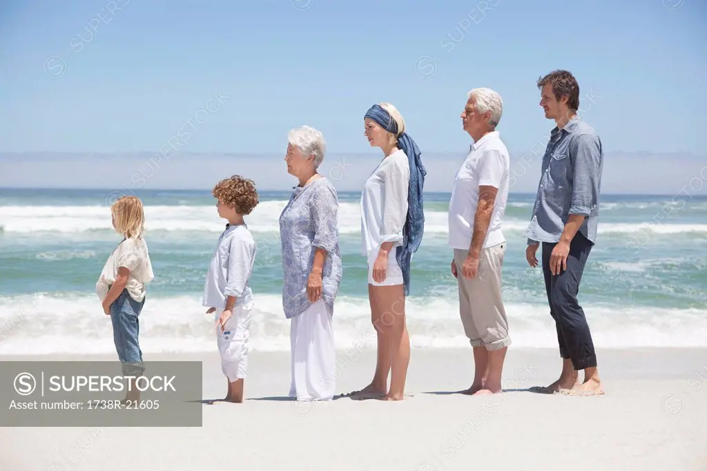 Family standing in row along the beach with kids