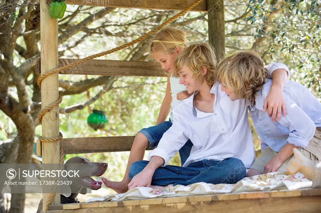 Children looking at a dog from tree house