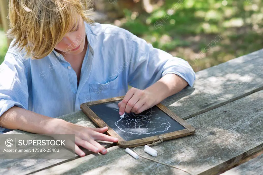 Little boy making drawing of tree on slate outdoors