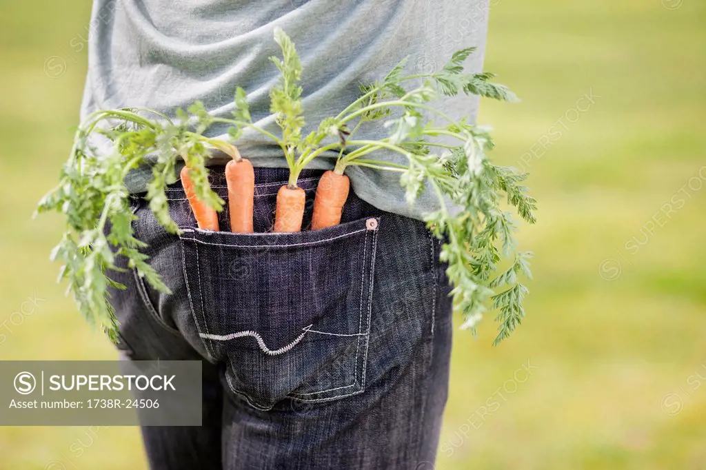 Carrots in the pocket of a man