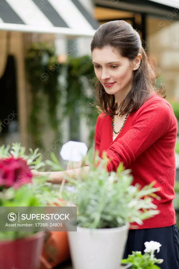 Woman looking at flowers in a flower shop