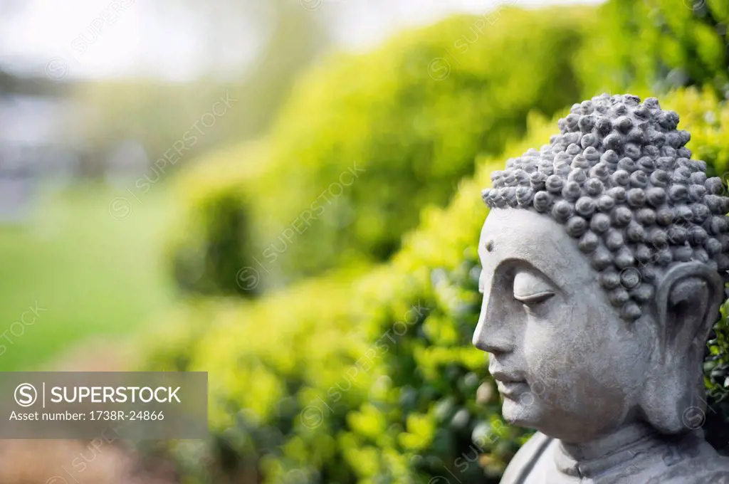 Statue of Buddha in a garden