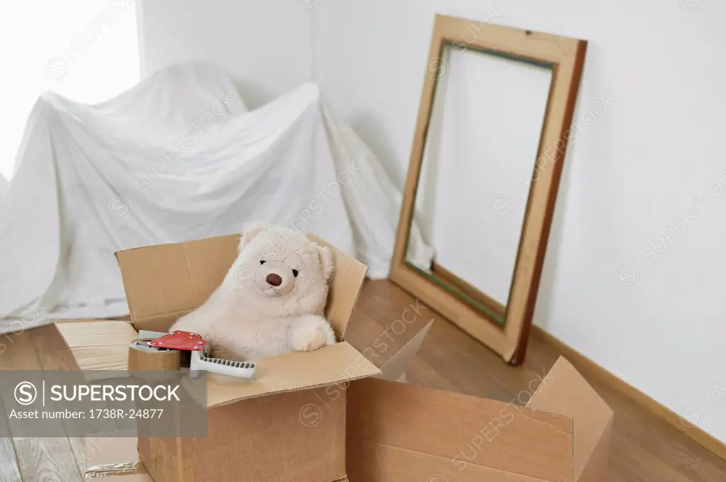 Teddy bear in a cardboard box