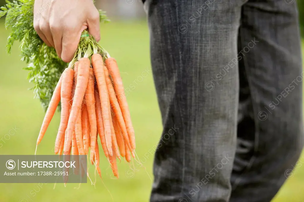 Man holding a bunch of carrots