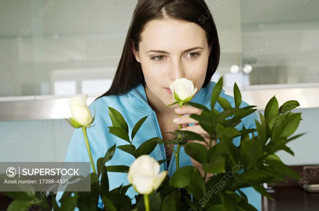 Portrait of young woman smelling rose