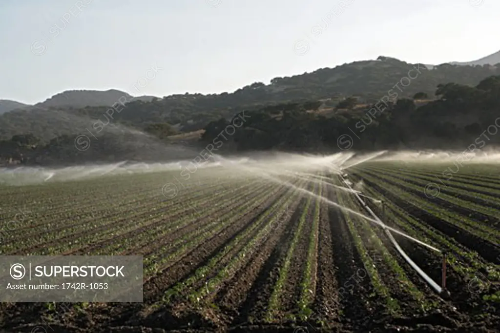 View of sprinklers on an agriculture land.