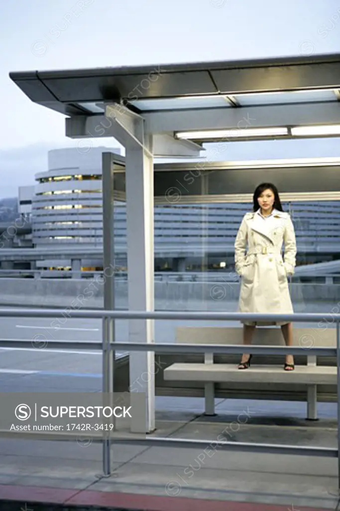 A woman is standing on a bench under a shelter.