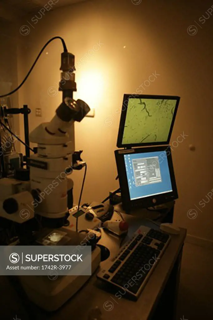 Computer and optical instrument