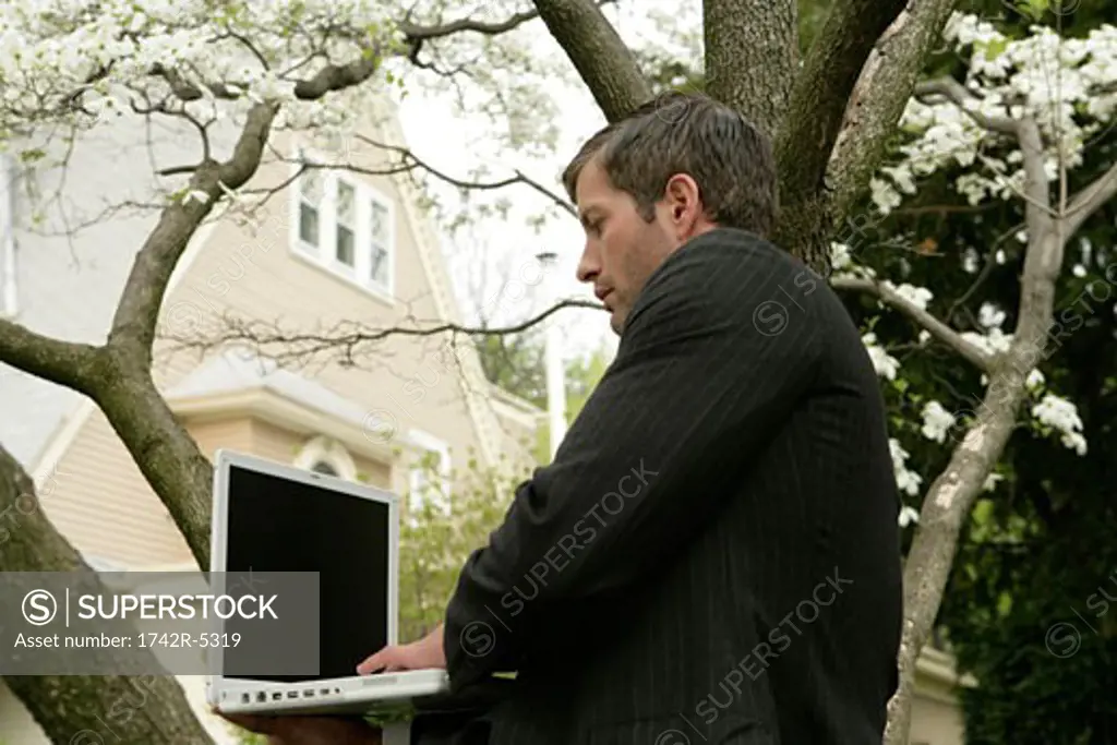 Business man sitting in a tree with a laptop