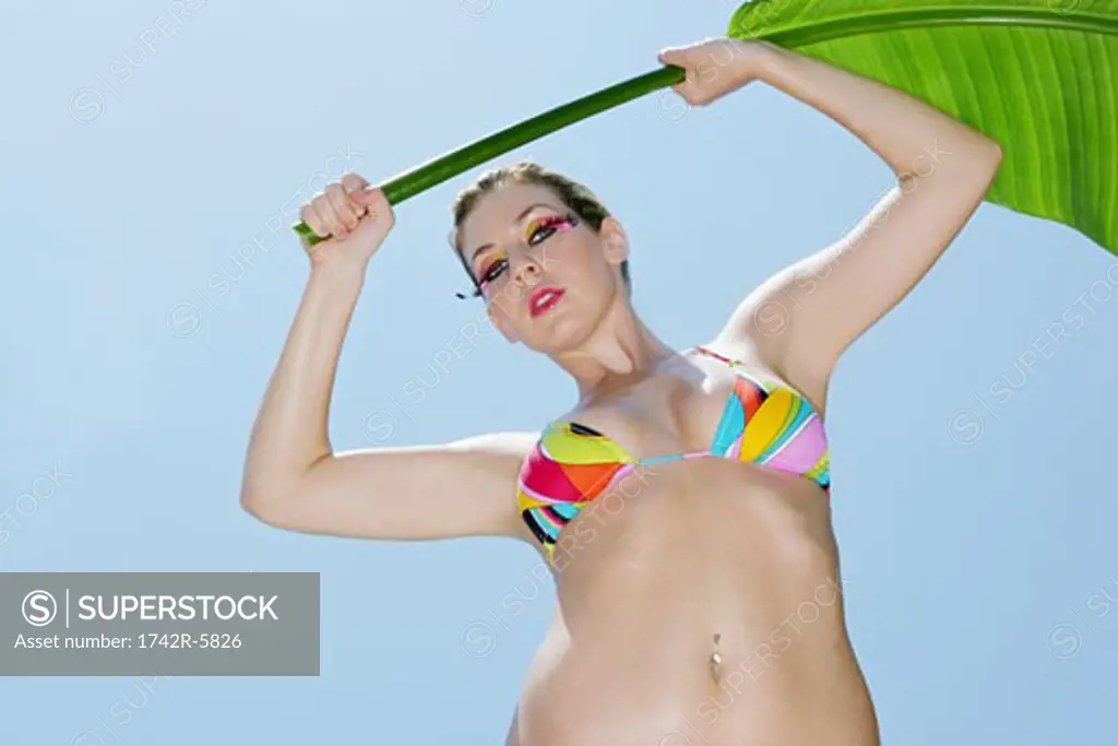 Woman in a bikini holding a large palm leaf, looking at camera