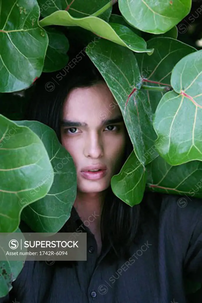 Young man in tropical leaves.