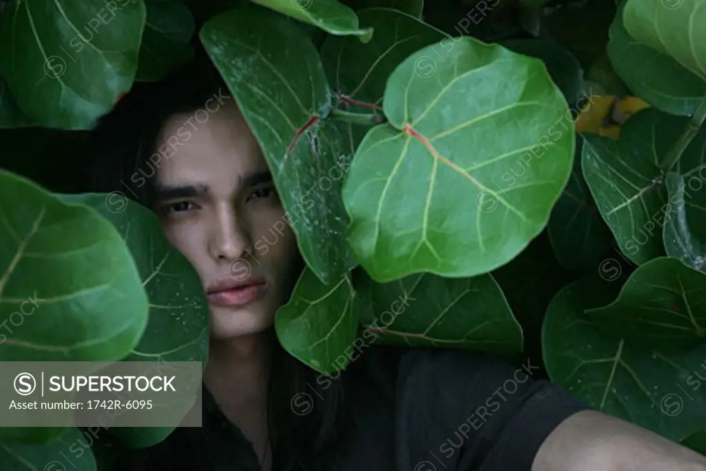 Young man in tropical leaves.