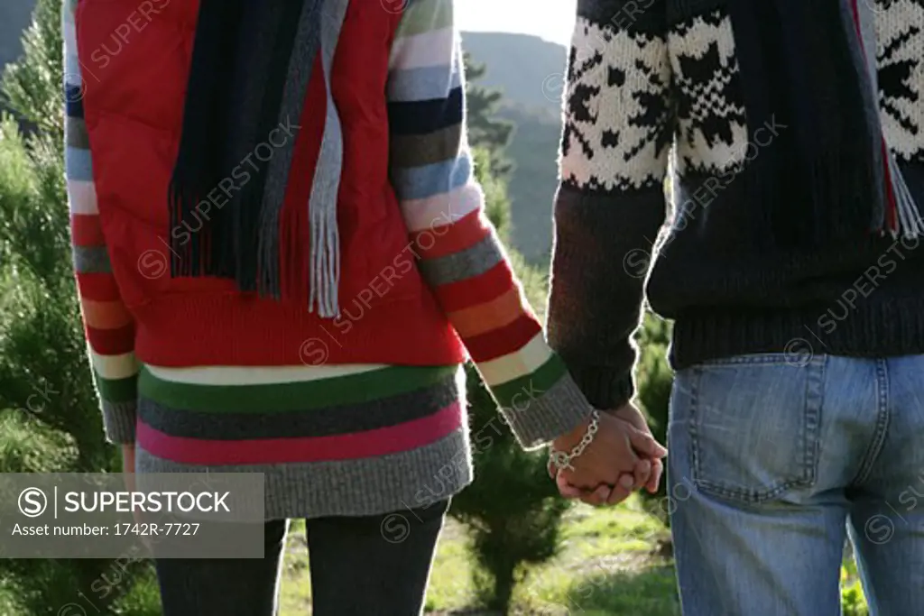 Rear view of couple holding hands outdoors.