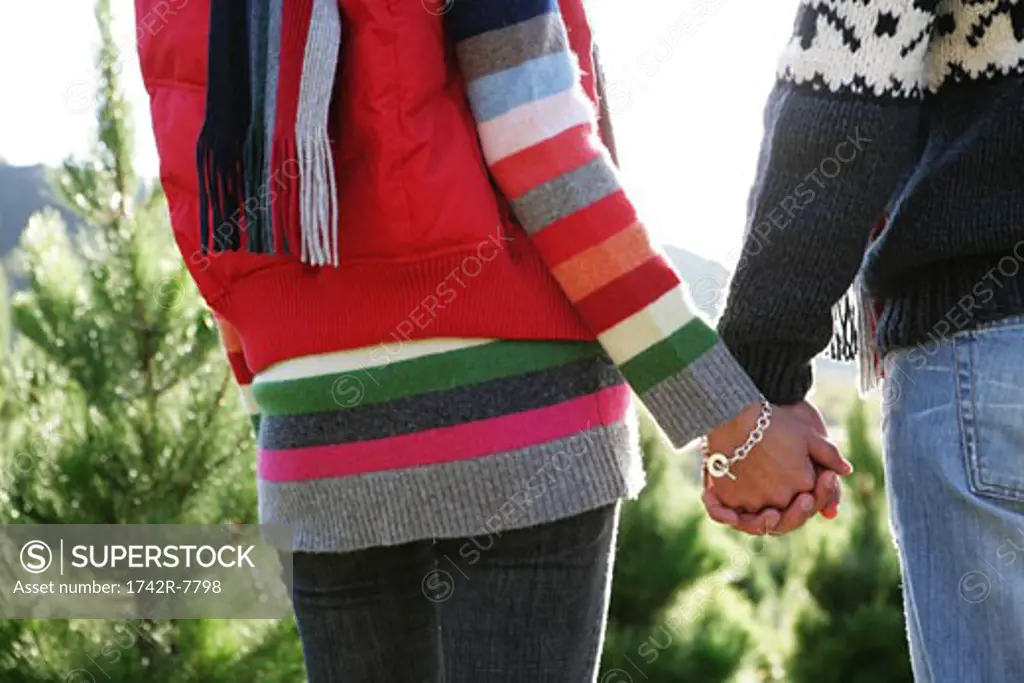 Cropped view of couple holding hands outdoors.