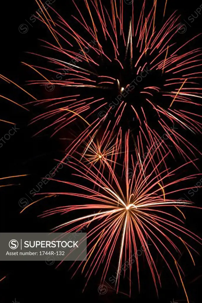 Low angle view of fireworks display at night