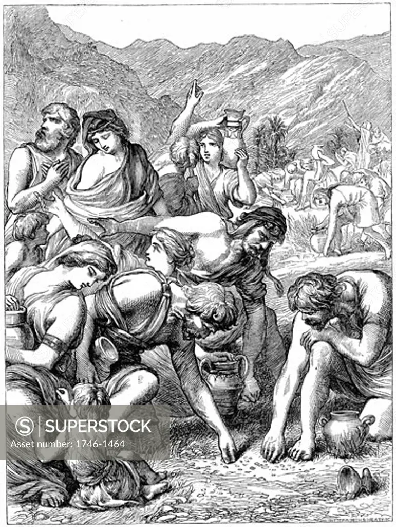 Israelites in the wilderness collecting the manna that fell from heaven." Bible": Nehemiah 9.15. Wood engraving  1869