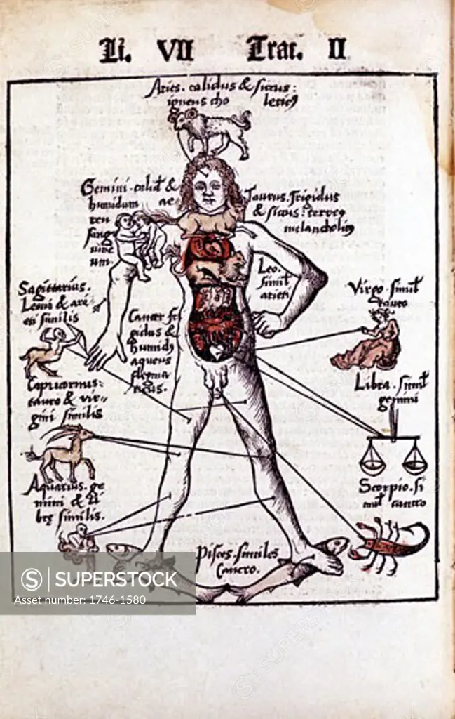 Relationship of organs of the body, the Humours and signs of Zodiac. From Gregor Reisch Margarita Philosophica Basle, 1508. Leo sole house of the Sun governs the heart - hence Lion Hearted. Hand-coloured woodcut