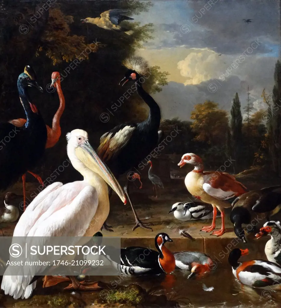 Painting titled 'The Floating Feather' depicts a pelican and other birds near a pool. Painted by Melchior d'Hondecoeter (1636-1695). Dated 17th Century