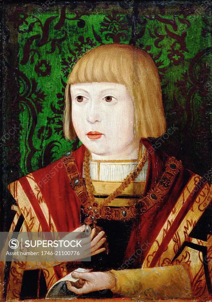 Portrait of a Young Emperor Ferdinand I (1503-1564) a Holy Roman Emperor, King of Bohemia, King of Croatia. Dated 16th Century