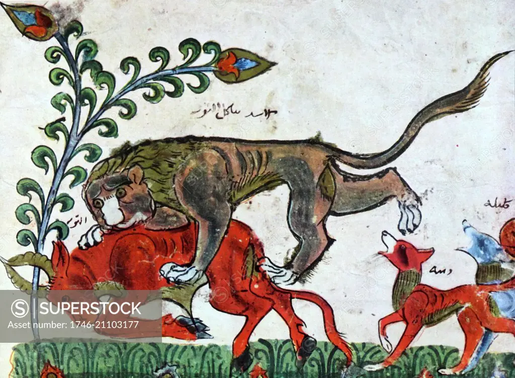 Arab illustration of the Lion Pingalaka is one of the Panchatantra, an ancient Indian inter-related collection of animal fables in verse and prose. The original Sanskrit work, which some scholars believe was composed in the 3rd century BCE. A New Persian version from the 12th century became known as Kalleh o Demneh. The book in different form is also known as The Fables of Bidpai. 13th century
