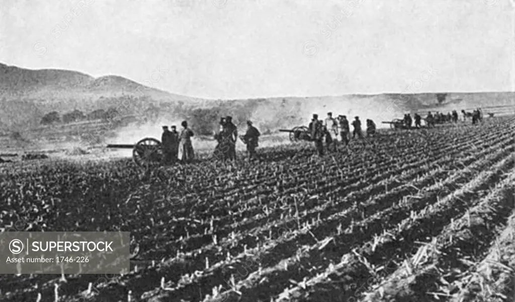 Russian field artillery in a millet field, Russo-Japanese War, (1904-1905)
