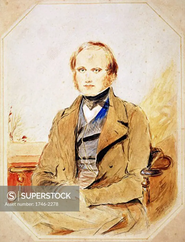 Charles Darwin (1809-82) English naturalist, Watercolour after portrait by George Richmond.