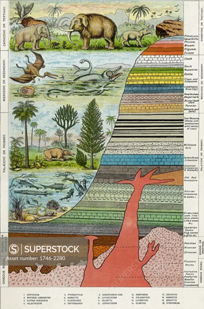 Diagram showing formation of different rocks and evolution of life on Earth. Print published c1880