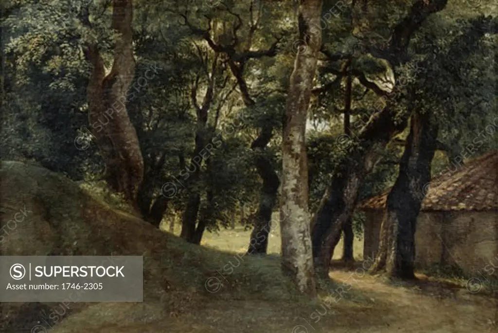 Woods of the Villa Borghese, Pierre de Valenciennes, (1750-1819/French)