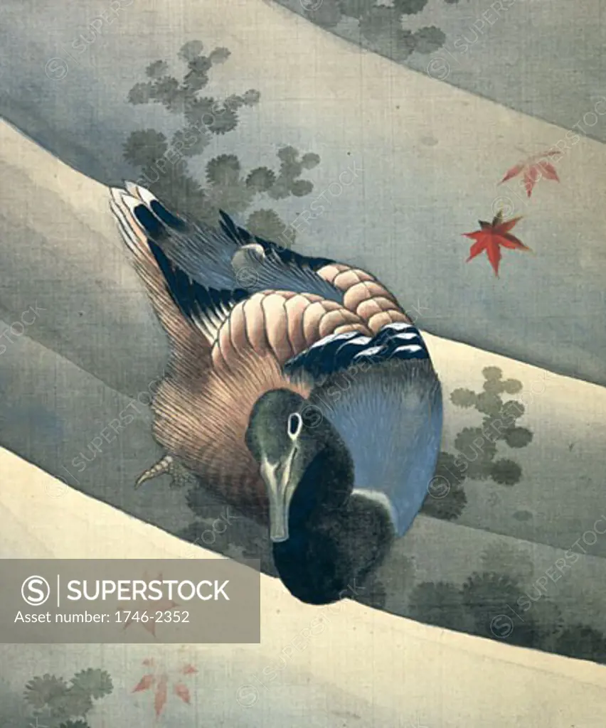 Duck swimming in water, 1847, Katsushika Hokusai, (1760-1849/Japanese)