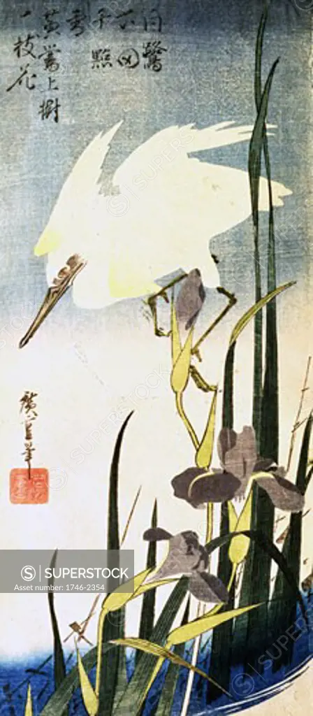 White heron and purple iris, 1850, Utagawa Hiroshige, (1797-1858/Japanese)