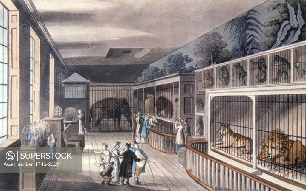 Royal Menagerie, Exeter Change, Strand, London', c1820. Edward Cross kept his menagerie here until Exeter Change was demolished in 1829 and he moved it to the Surrey Gardens, Walworth c1830.