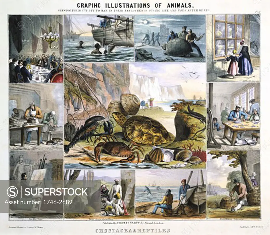 Graphic Illustrations of Animals and Their Utility to Man, CRUSTACEA: Turtle soup, pearl diving, catching turtles, leeches, tooth powder, pearl buttons, crab pots, shrimpers, Cowrie shell money, sepia and tortoise shells, Hand-coloured lithograph published London c.1850