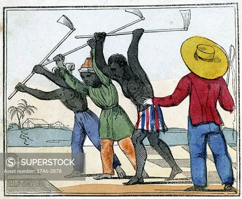 Black slaves working in the cane fields: Holing. Overseer with whip stands over them. West Indies From Amelia Opie The Black Man's Lament; or How to Make Sugar, London, 1826