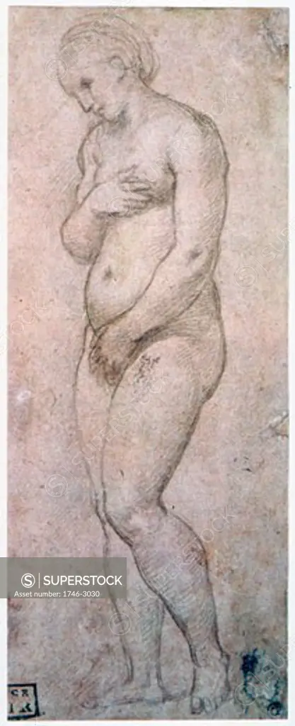 Study of Venus, Raphael, (1483-1520/Italian)