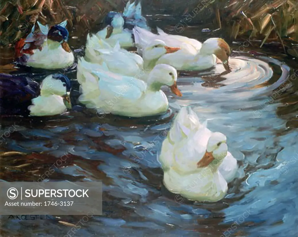 Ducks on a Pond, Alexander Max Koester, (1864-1932/German)