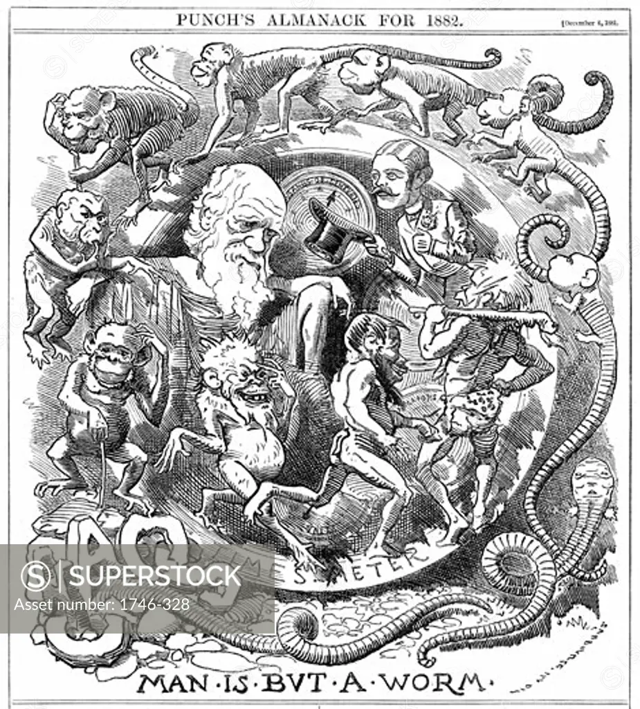 Man is but a worm., Cartoon from Punch,, London, 6 December 1881, Wood engraving