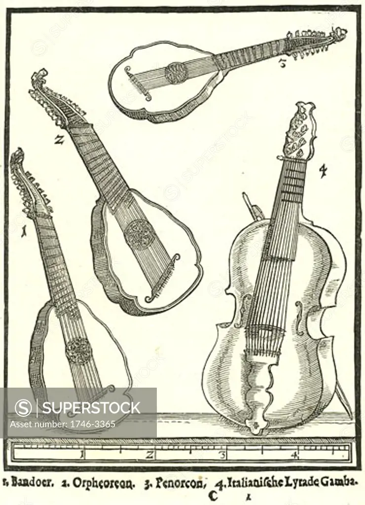 Stringed Instruments by Michael Praetorius from Syntagma Musicum,  woodcut,  161420