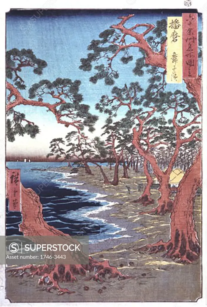 Pine trees by shoreline by Ando Hiroshige also called Ando Tokutaro,  1797-1858,  colored woodblock print