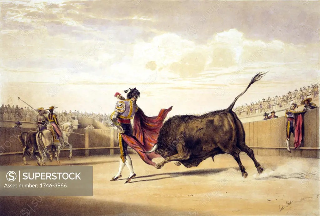 Bullfighting: Bull charging as matador plays the cape.  Lake Price (c1810-1896) English artist.  Spain Corrida Torero Tradition Costume Blood Sport Spectacle