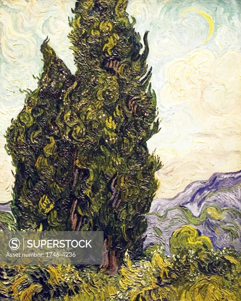 Cypresses by Vincent Van Gogh,  1889