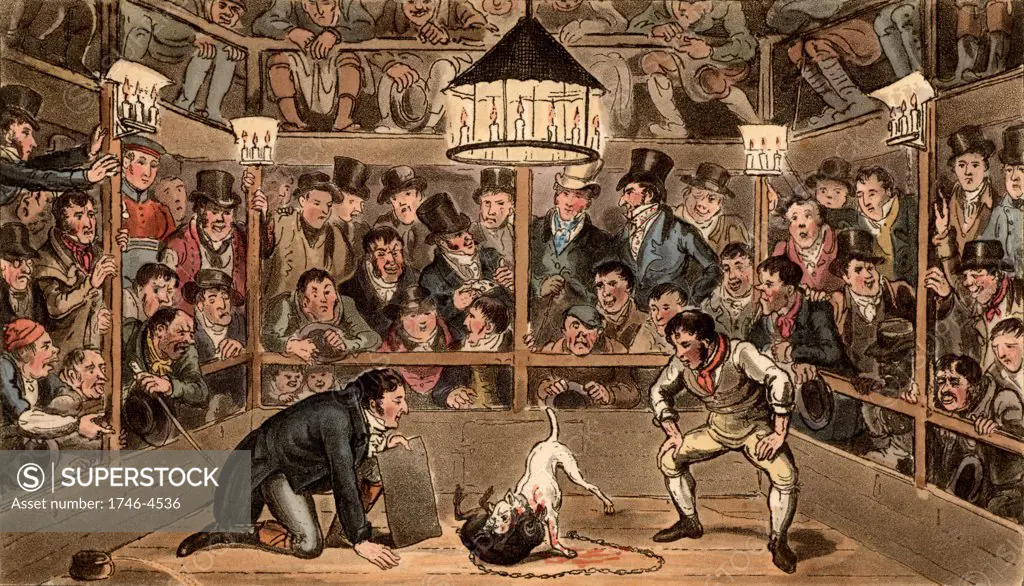Tom and Jerry sporting their blunt on the phenomenon Monkey Jaco Macacco at the Westminster  Westminster Pit. In the centre of the picture Tom and Jerry  are placing cash bets (sporting their blunt) on the outcome of the fight between a monkey and a bull terrier.  The scene is lit by candles. Illustration by (Isaac) Robert Cruikshank and George Cruikshank Snr. for Life in London by Pierce Egan (London, 1821). Aquatint.