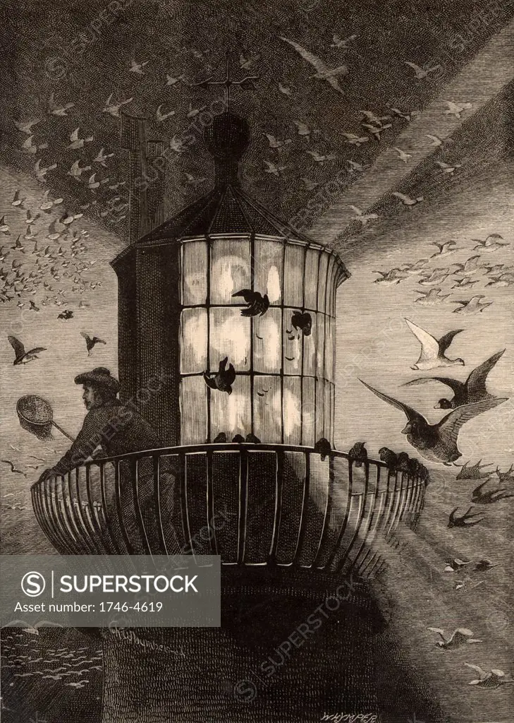 The lantern of the Eddystone lighthouse built on the Stone 13 miles South-east of Polperro, Cornwall, England, being used to observe migrating birds.  This practice began in the Autumn of 1878.  Illustration by Charles Whymper (1853-1941) from The Quiver (London, 1882).
