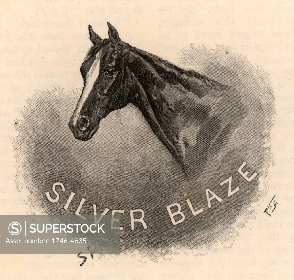 'The Adventure of Silver Blaze'. Sherlock Holmes was called in to find the murderer of the racehorse trainer, John Straker. Holmes reveals Silver Blaze had kicked Straker to death when the man was trying to lame him.  From The Adventures of Sherlock Holmes by Conan Doyle from The Strand Magazine (London, 1892). Illustration by Sidney E Paget, the first artist to draw Sherlock Holmes.  Engraving.