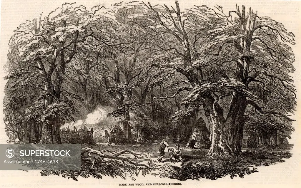 Charcoal burners in Mark Ash Wood in the New Forest, England. On the left one of the charcoal burners is controlling the burning of the clamp . At centre right is their cabin made of branches covered in turf and heather.  From The Illustrated London News (London, 21 October 1848).